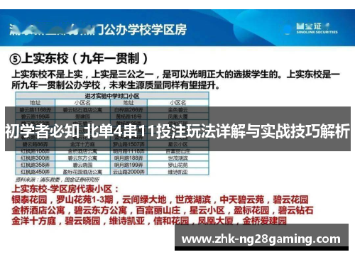 初学者必知 北单4串11投注玩法详解与实战技巧解析