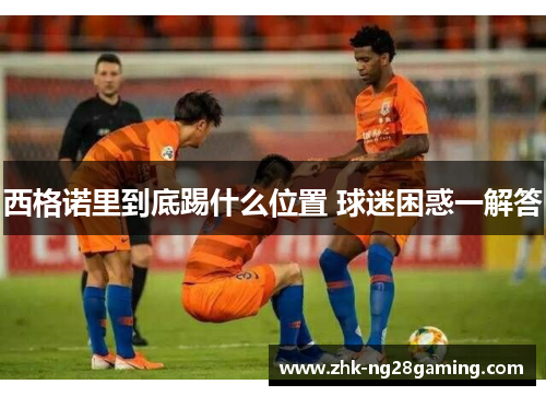 西格诺里到底踢什么位置 球迷困惑一解答 西格诺里到底踢什么位置 球迷困惑一解答