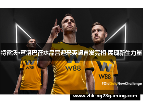 特雷沃·查洛巴在水晶宫迎来英超首发亮相 展现新生力量 特雷沃·查洛巴在水晶宫迎来英超首发亮相 展现新生力量