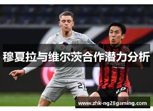 穆夏拉与维尔茨合作潜力分析